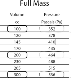 B-Lite Tabelle Full Mass